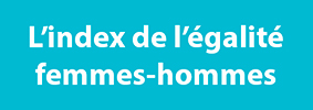 publication-de-index-egalite-professionnelle-relatif-exercice-2019