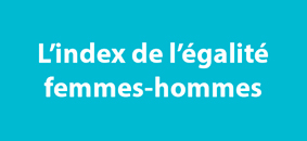 publication-de-index-egalite-professionnelle-relatif-exercice-2021